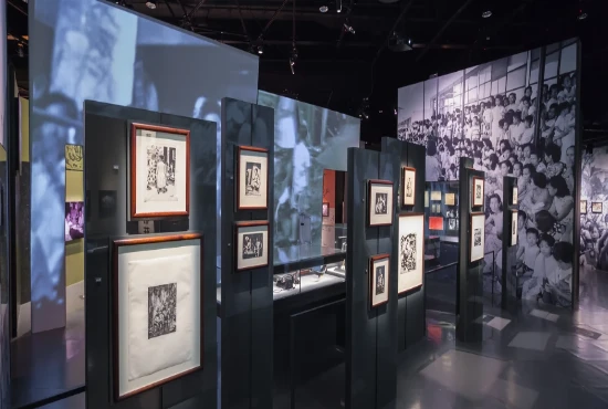 Walk With Legends: Discover Houston’s Top American Hero Museum + Travel Tips